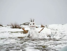 英国天气：英国气象局预测未来几天将有18英寸的降雪